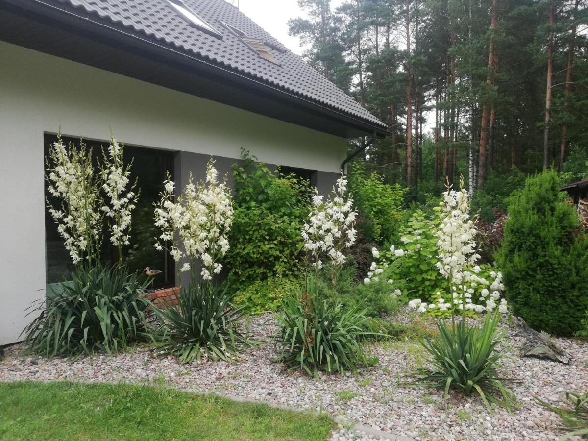 Cudodomek Spa W Mrozach Wielkich Kolo Elku Eksteriør billede