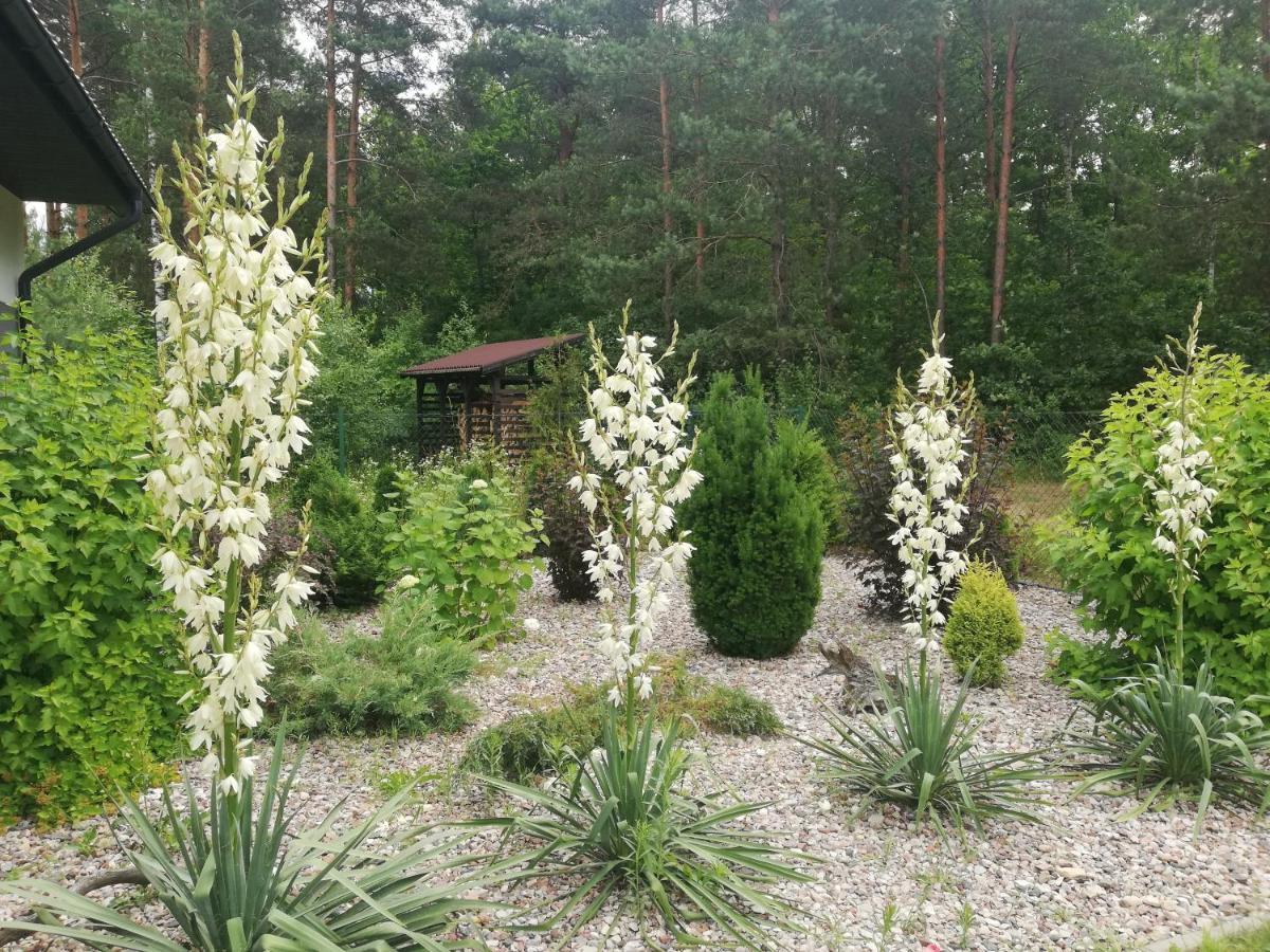 Cudodomek Spa W Mrozach Wielkich Kolo Elku Eksteriør billede